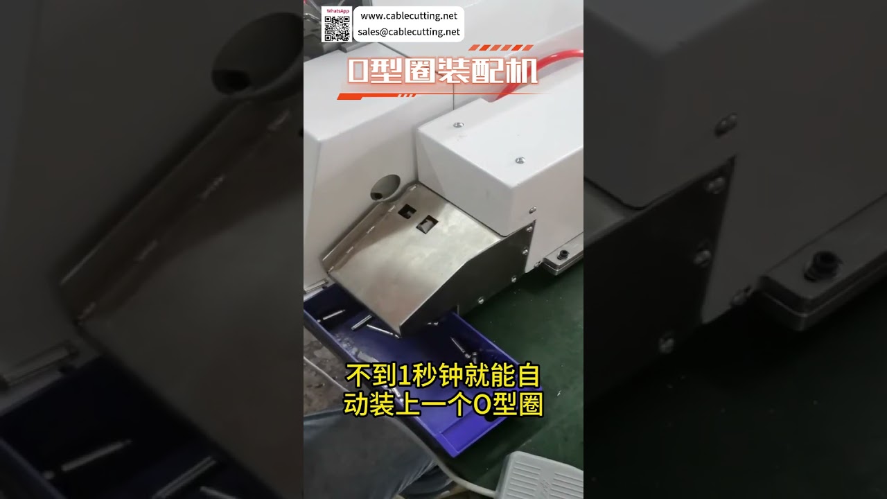 智能O型圈组装机 | 高效自动密封圈生产线设备